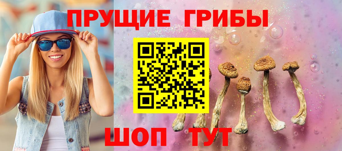 Псилоцибиновые грибы Psilocybine cubensis  Вход с VPN  Коломна 