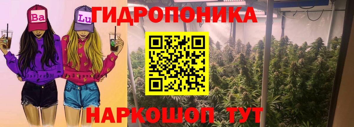 МАРИХУАНА Ganja Коломна